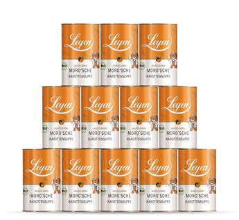 Moro’sche Karottensuppe-leyen_gesundheit_bio-moro-karottensuppe_