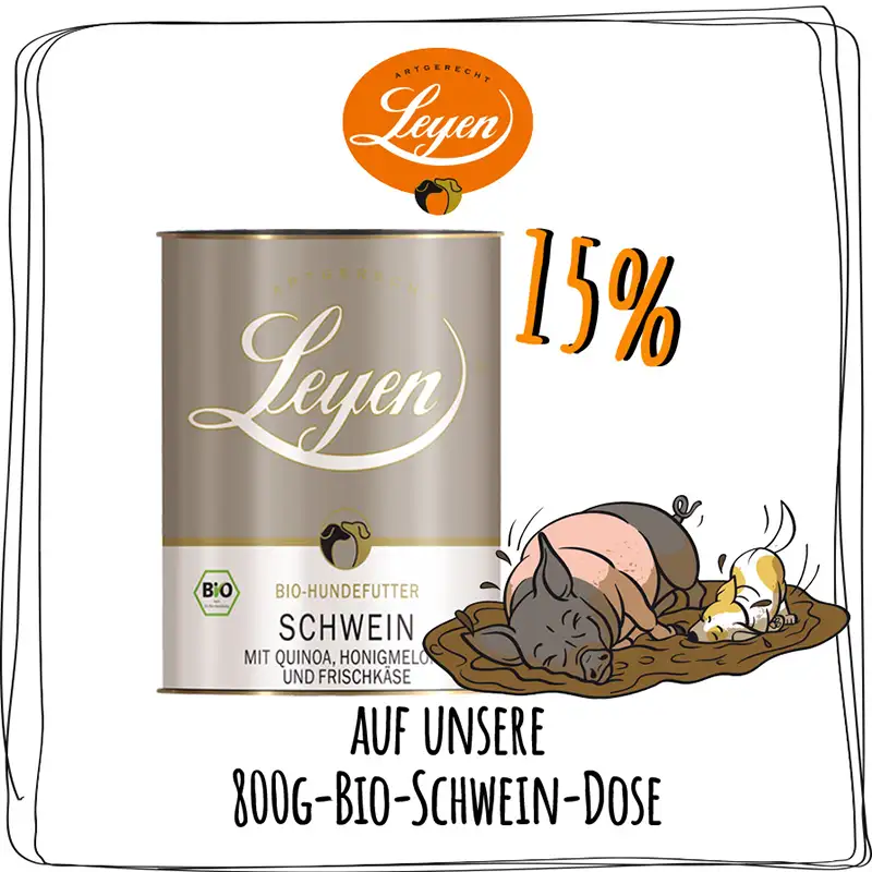 Leyen Hundefutter Bio-Schwein 15 Prozent 5.-12. September 2024